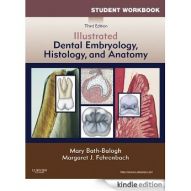 12. Dental Embyology, Histology and Anatomy.jpg