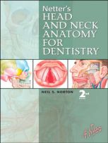 3. Netters Head and Neck anatomy for Science.jpg